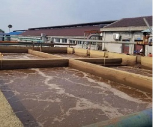 出水氨氮大于進水氨氮，怎么回事？