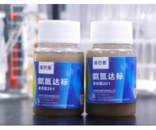 生化系統崩潰，氨氮超標，我該怎么辦?